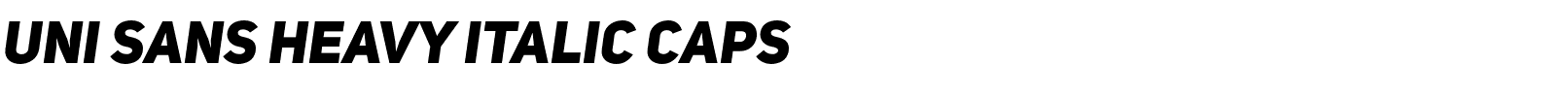 Uni Sans Heavy Italic CAPS