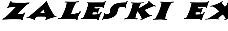 Zaleski-Extended-Italic